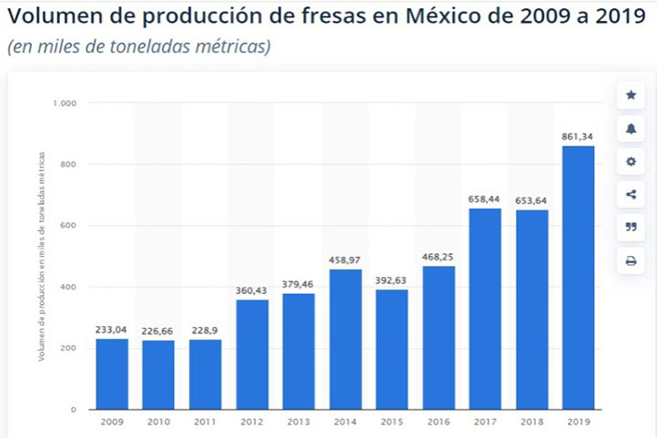 Grafico de produccion de fresa en Mexico